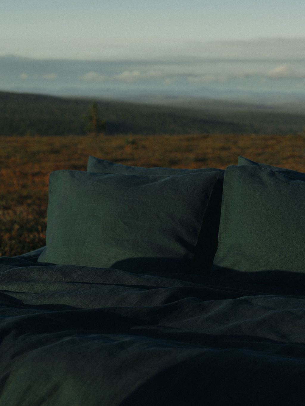 Petaus luonnossa tumman vihreillä hamppulakanoilla